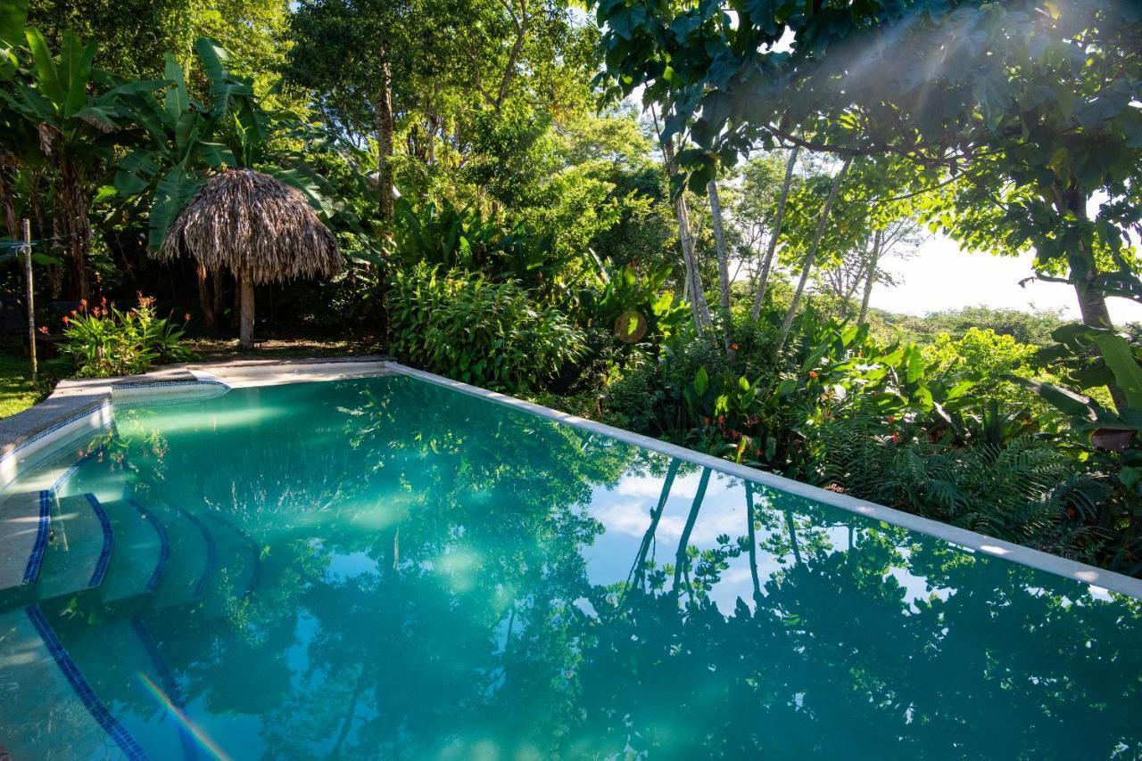 Jungle Lodge At Wild Sun Rescue Center Cabuya  Dış mekan fotoğraf